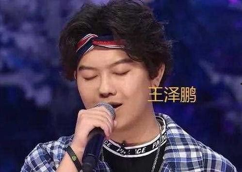 好声音王泽鹏爆料视频大全,揭秘幕后故事与精彩瞬间  第2张